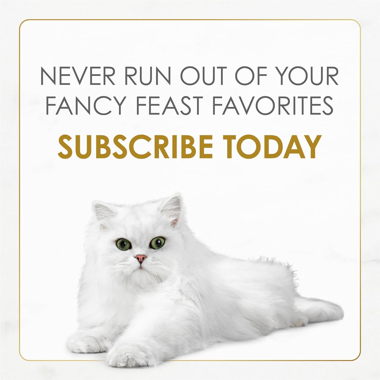 Purina Gourmet Pate Wet Cat Food, Petites Tender Beef Entree - 2.8 Oz. Tub