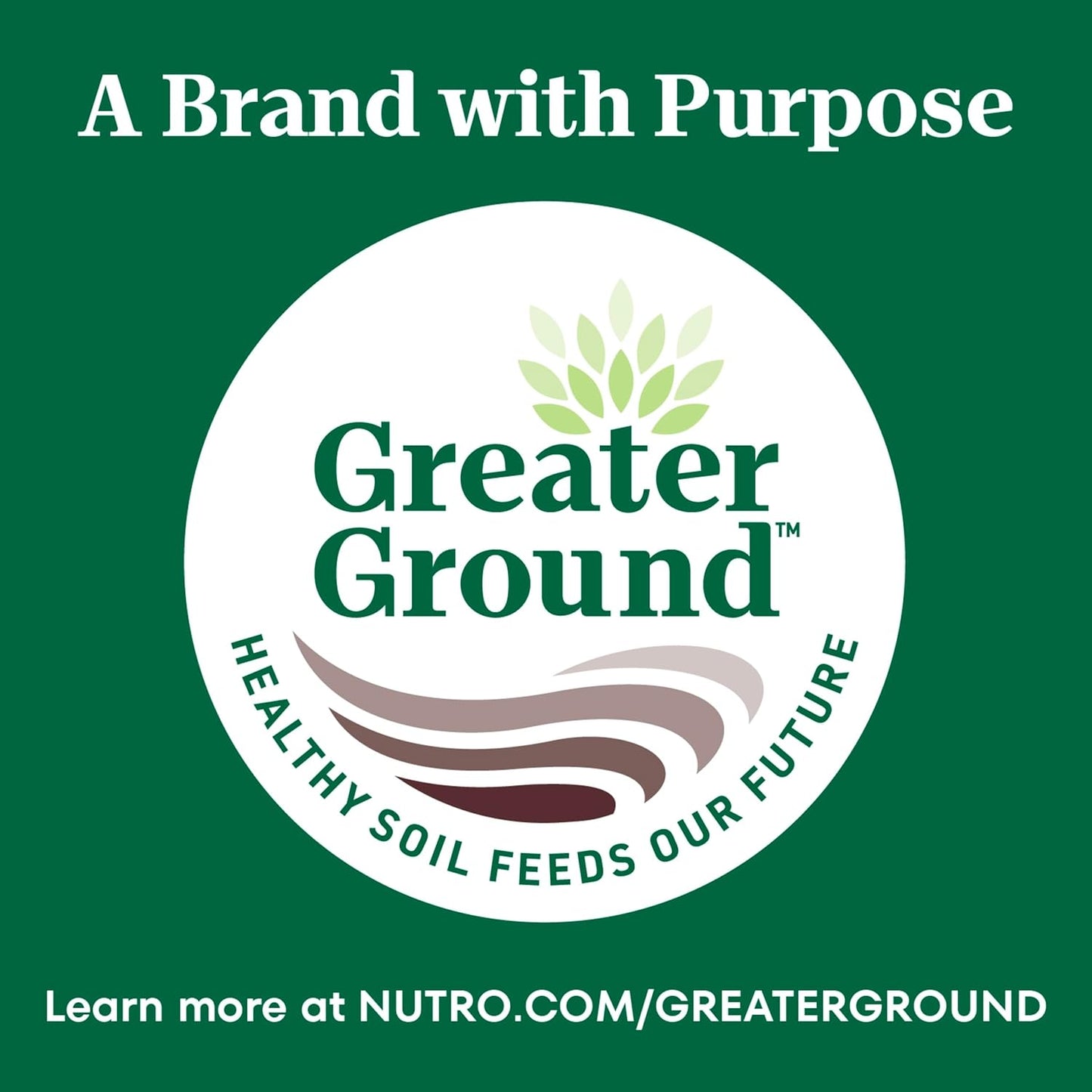 Wholesome Essentials Adult & Senior Dry Cat Food, Chicken