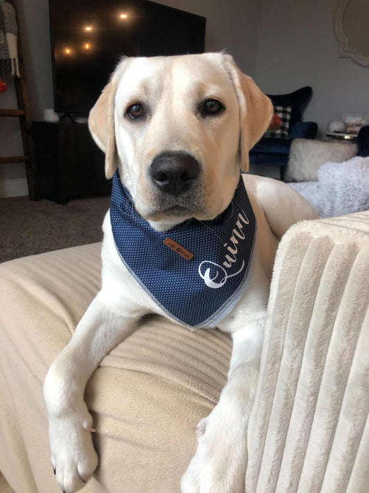 Dog Bandana for Small Medium Large Dogs, Cat Dog Kerchief Dog Triangle Bibs Scarf for Girl or Boy